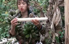 小姐姐吃仙人掌完整版,小姐姐勇敢尝试吃下完整仙人掌