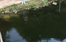 农村小姐姐水库钓鱼图片,农村小姐姐的悠闲时光