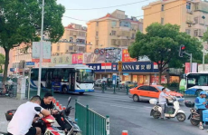 上海小姐姐买狗去哪里,揭秘热门买狗圣地